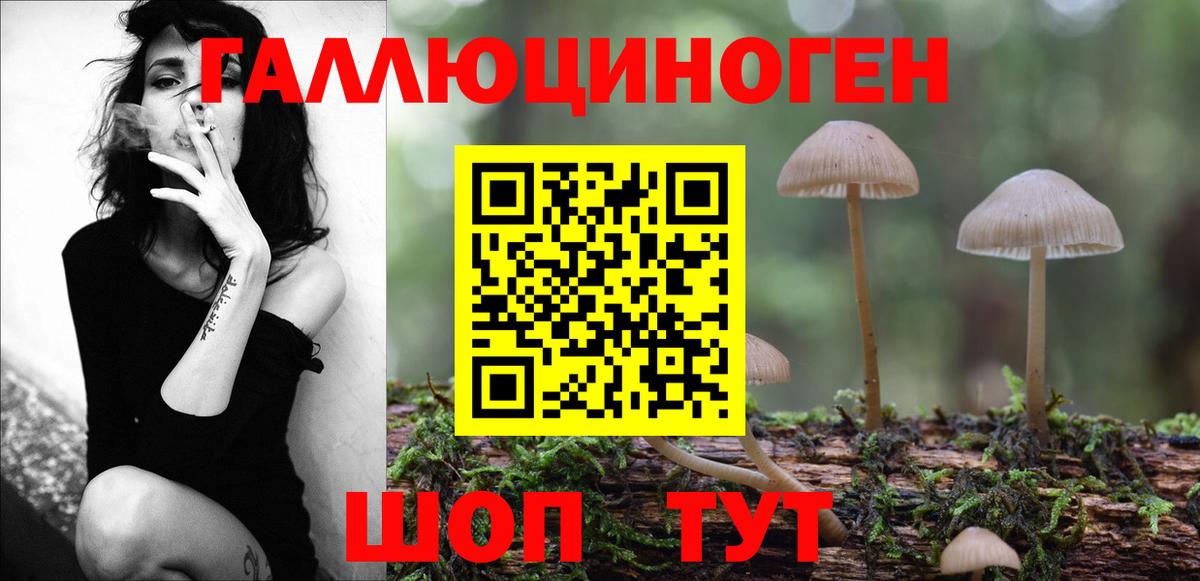 Псилоцибиновые грибы Psilocybine cubensis Анапа