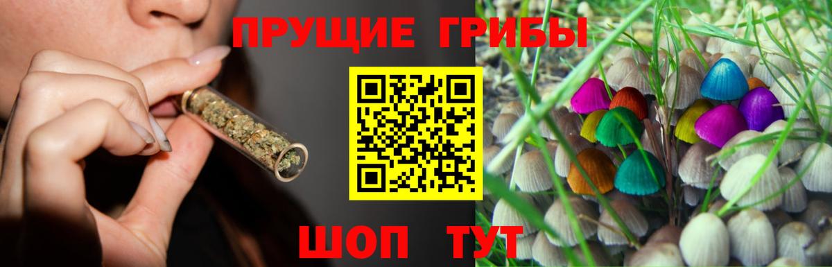 Псилоцибиновые грибы мухоморы  Вход с VPN  Псилоцибиновые грибы MAGIC MUSHROOMS  Анапа 